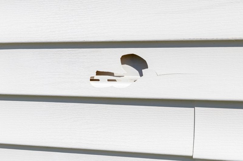 Vinyl Siding Repair Service Image 1
