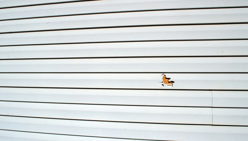 Vinyl Siding Repair Final Image 1